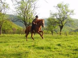 Езда в България